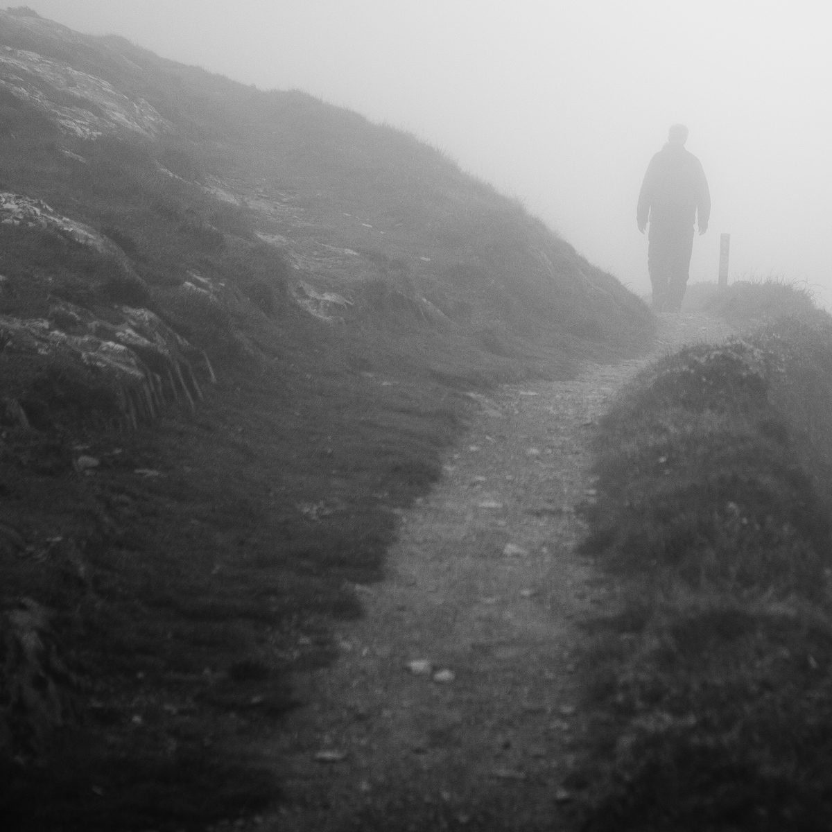 Lone Wanderer